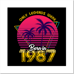 Born in 1987 T-Shirt Posters and Art